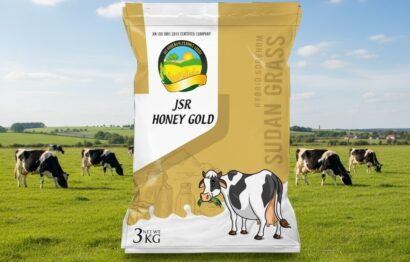 Generated Image January 30, 2026 - 12_34PM