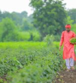 WhatsApp Image 2026-01-30 at 13.34.37