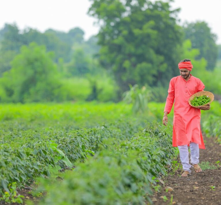 WhatsApp Image 2026-01-30 at 13.34.37