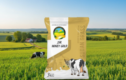 wmremove-transformed (3)