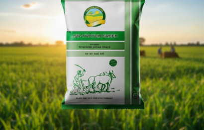 7584fm374srmr0cwjdevrvv7dw