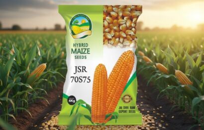 Generated Image February 11, 2026 - 1_57PM