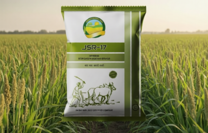 p9x41pbq9nrmw0cwk2p80v8xdr