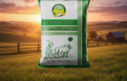 rmd6z4fx31rmw0cwjdev1af0q0